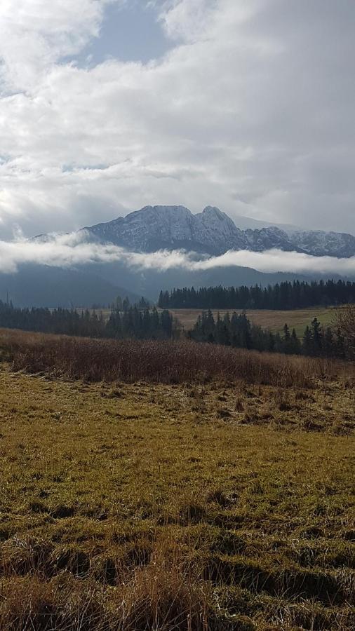 Apartament Na Brzyzku Zakopane Exterior foto