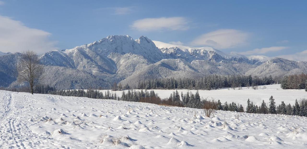 Apartament Na Brzyzku Zakopane Exterior foto